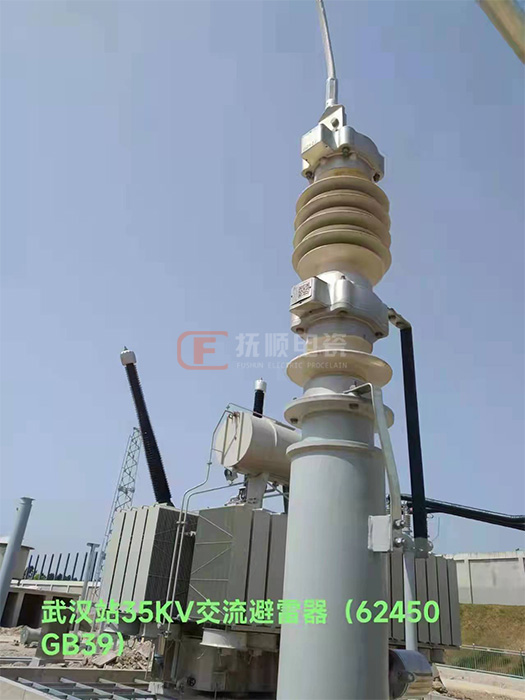 武汉35KV交流避雷器.jpg